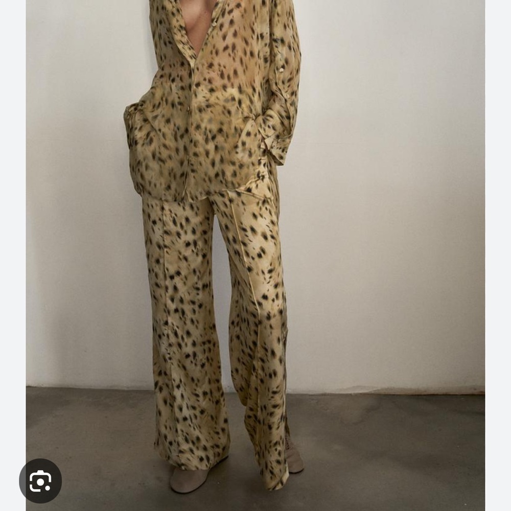 Zara Pants